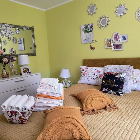 Sweet Butterflies Residence Braşov Buitenkant foto