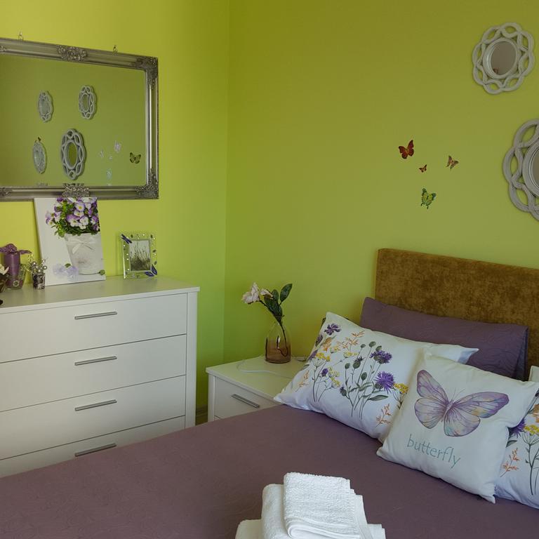 Sweet Butterflies Residence Braşov Buitenkant foto