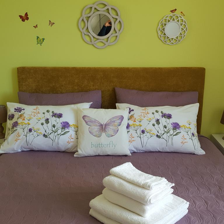 Sweet Butterflies Residence Braşov Buitenkant foto